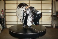 Mechanical Bull